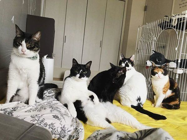 響介さんの公式Instagramより