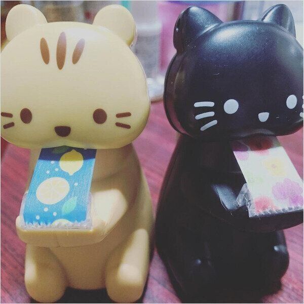 ダイソーの猫グッズ