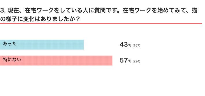 ねこのきもちWEB MAGAZINE　猫飼いさんの在宅ワークに関するアンケートvol.01
