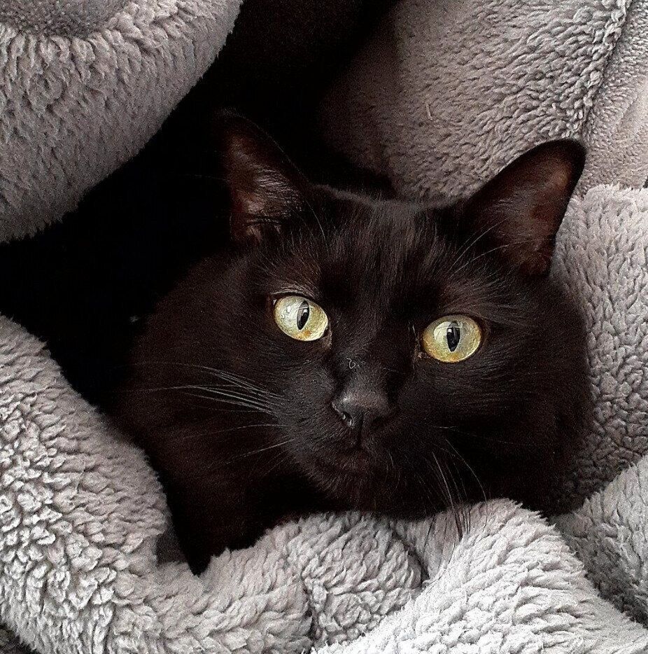 現在のひまわりちゃん