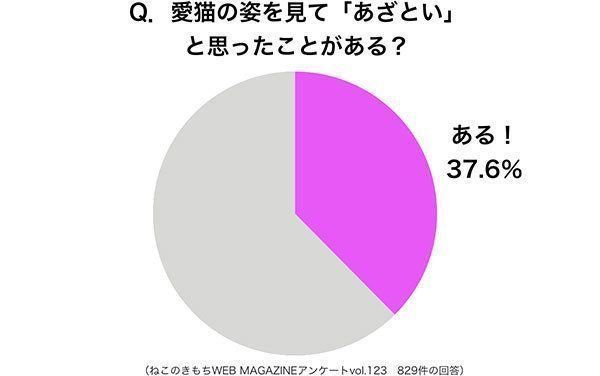 グラフ：愛猫の姿を見て「あざとい」と思ったことがある？