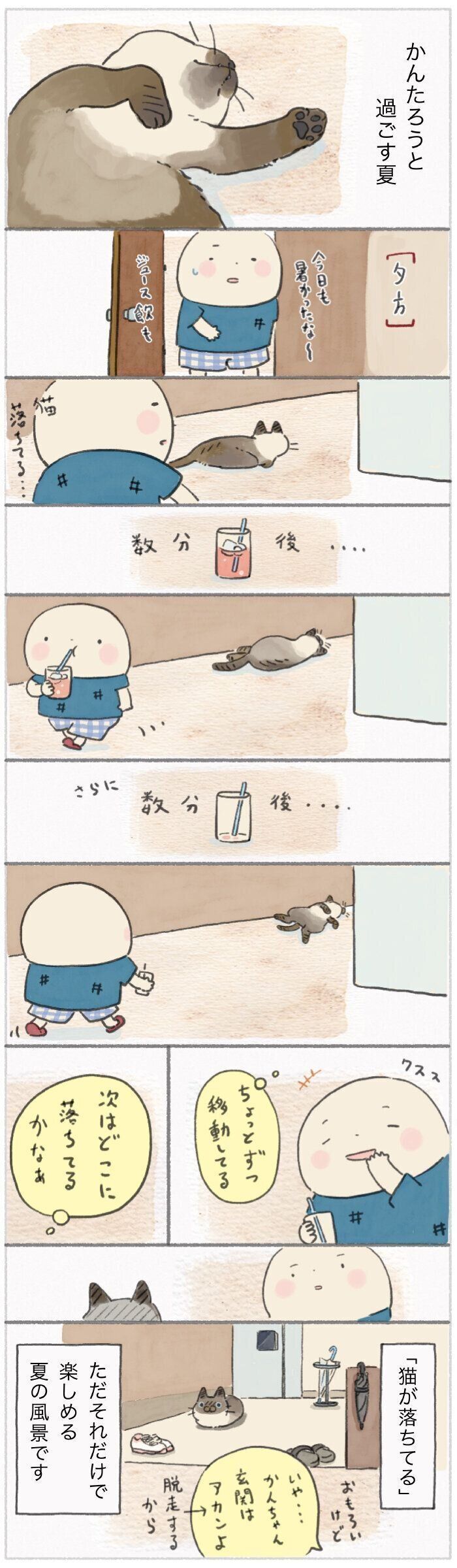 「ねこ連れ草」240話め