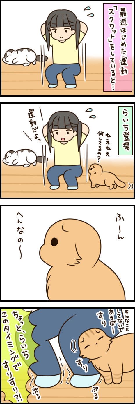 「もふもふスコたん」vol.24 その①