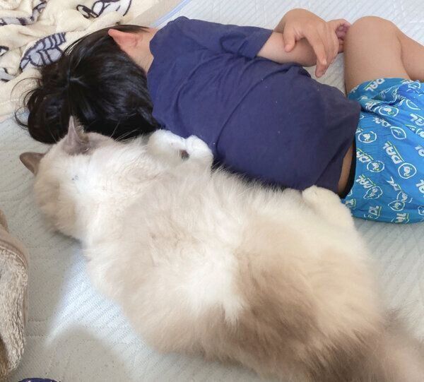息子さんの隣で二度寝をするルカくん