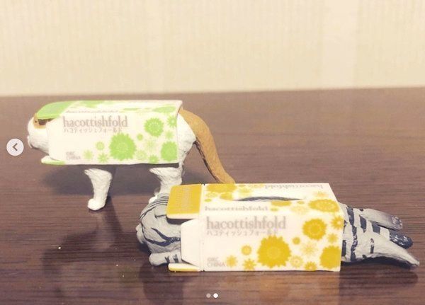 カプセルトイ「ハコティッシュフォールド3」