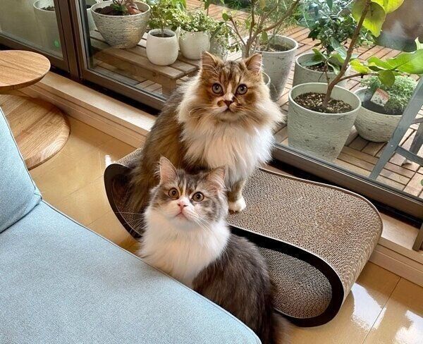 仲良しコンビのみぬ次郎くんとみぬ太郎くん