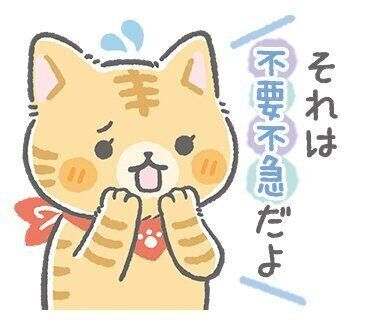 ねこたつ・きなこ