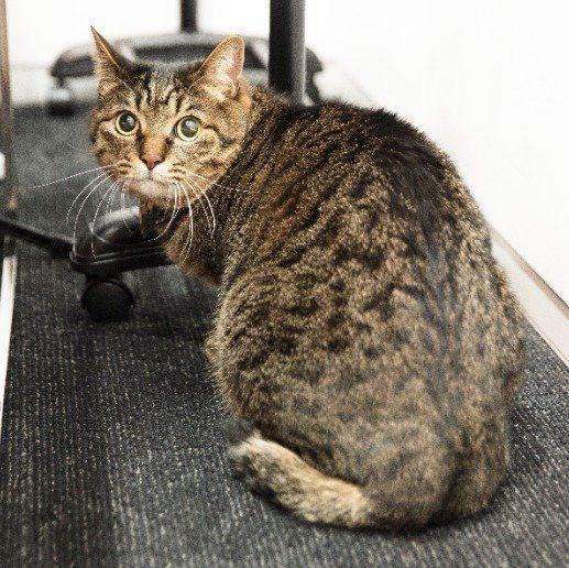 撮影／中川文作