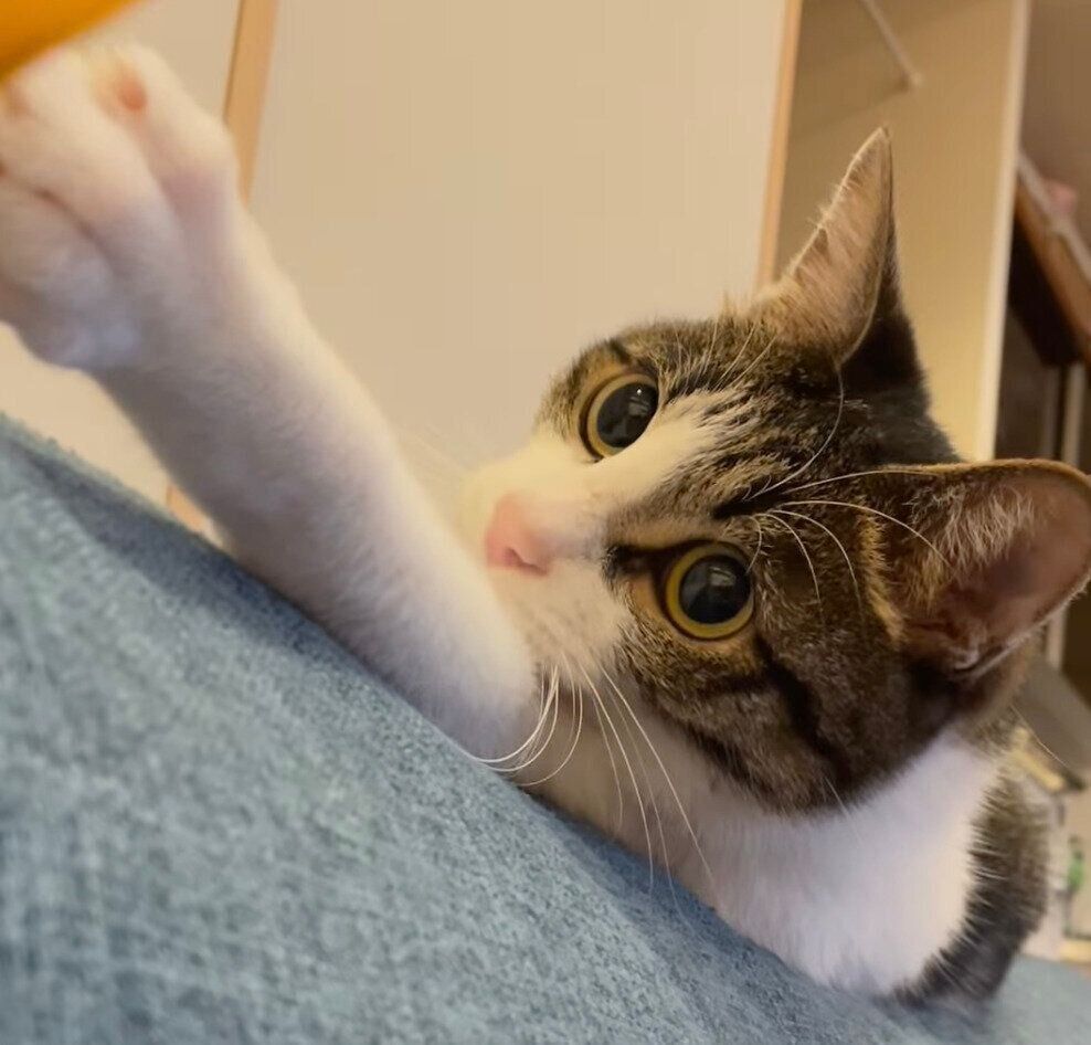 おもちゃで遊ぶアルくん