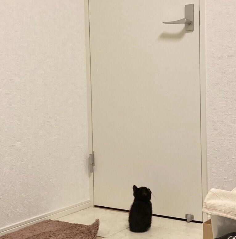 ドアの前に座るたきびくん