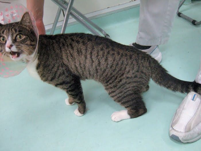 写真提供／伊藤大輔先生