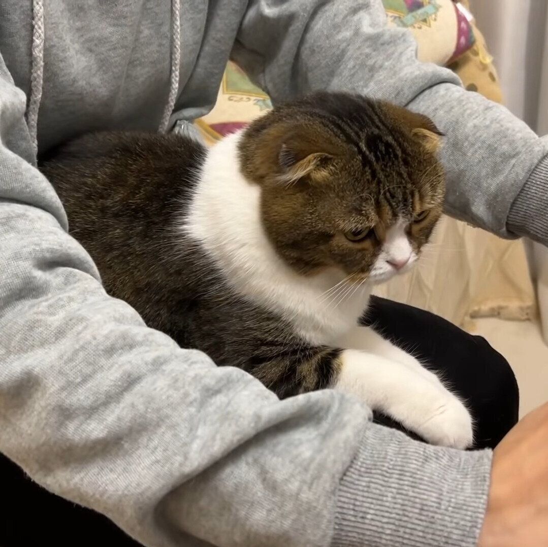 ママのお仕事ぶりをチェックするぽこ太郎ちゃん