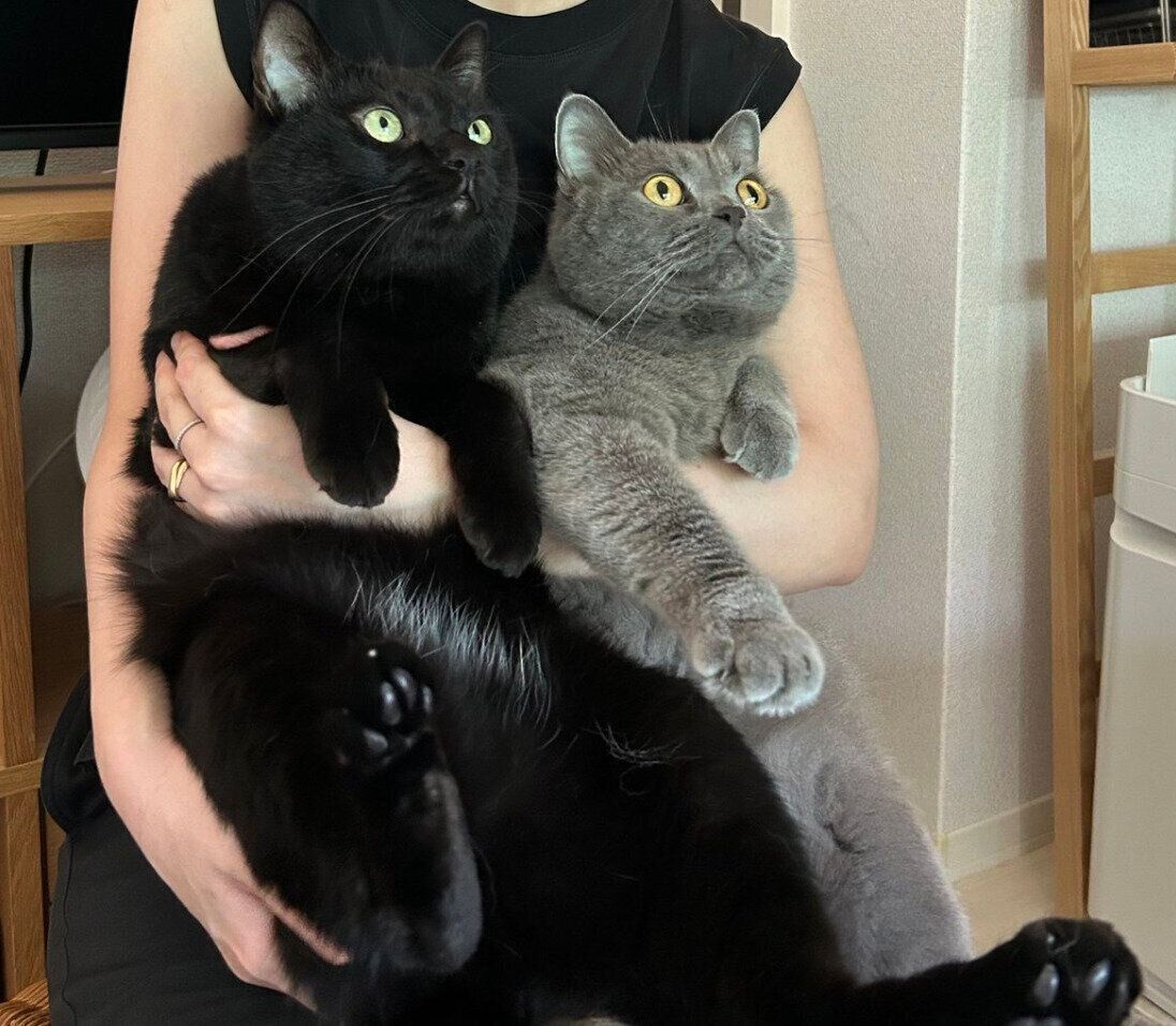 抱っこしてもらうさすけくん、こてつくん