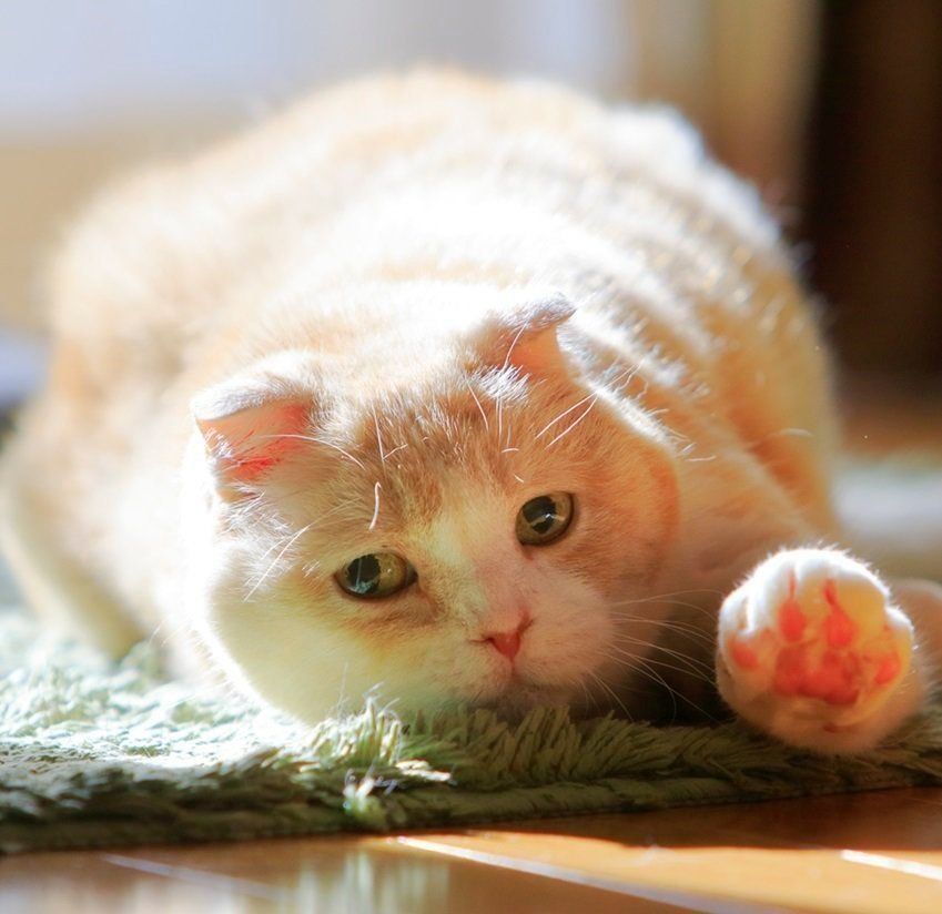 撮影／ケニア・ドイ