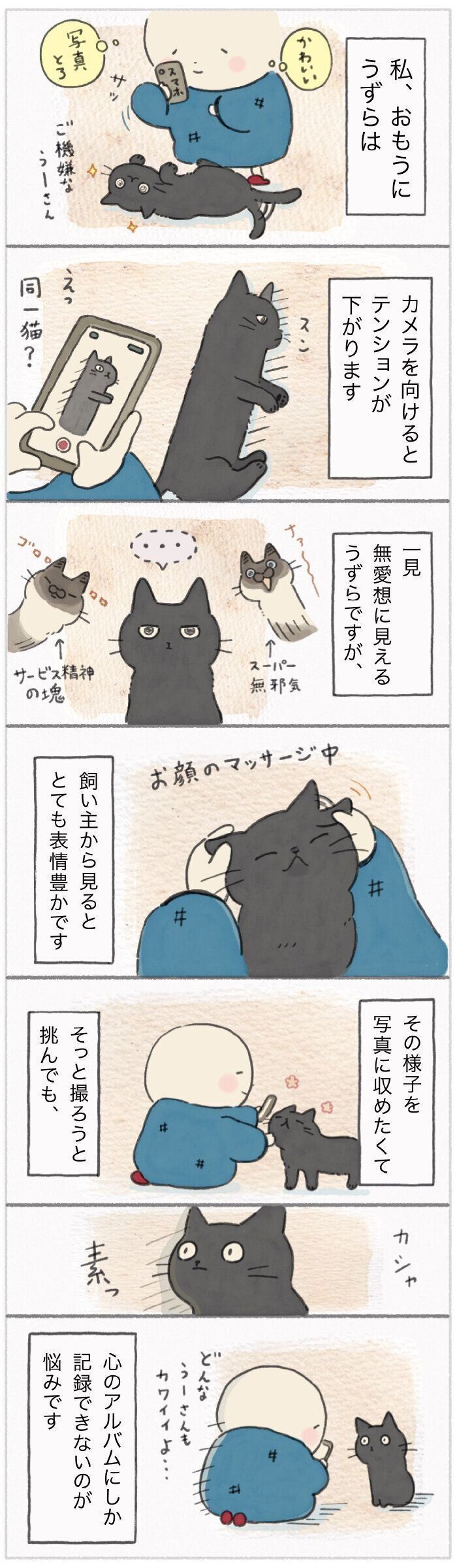 「ねこ連れ草」202話