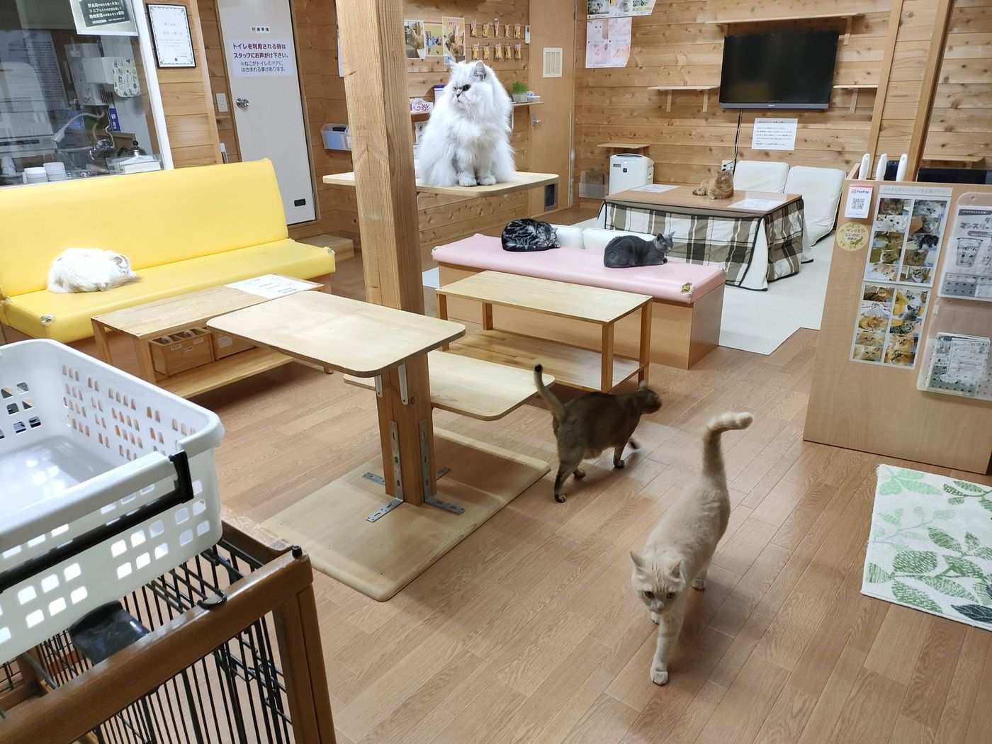 当時のメディア報道・掲載写真