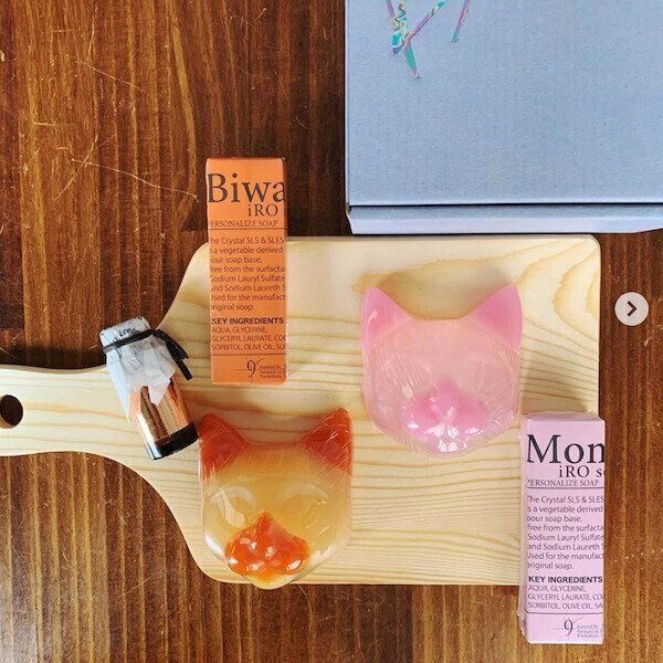 「ツクレルネコキット」