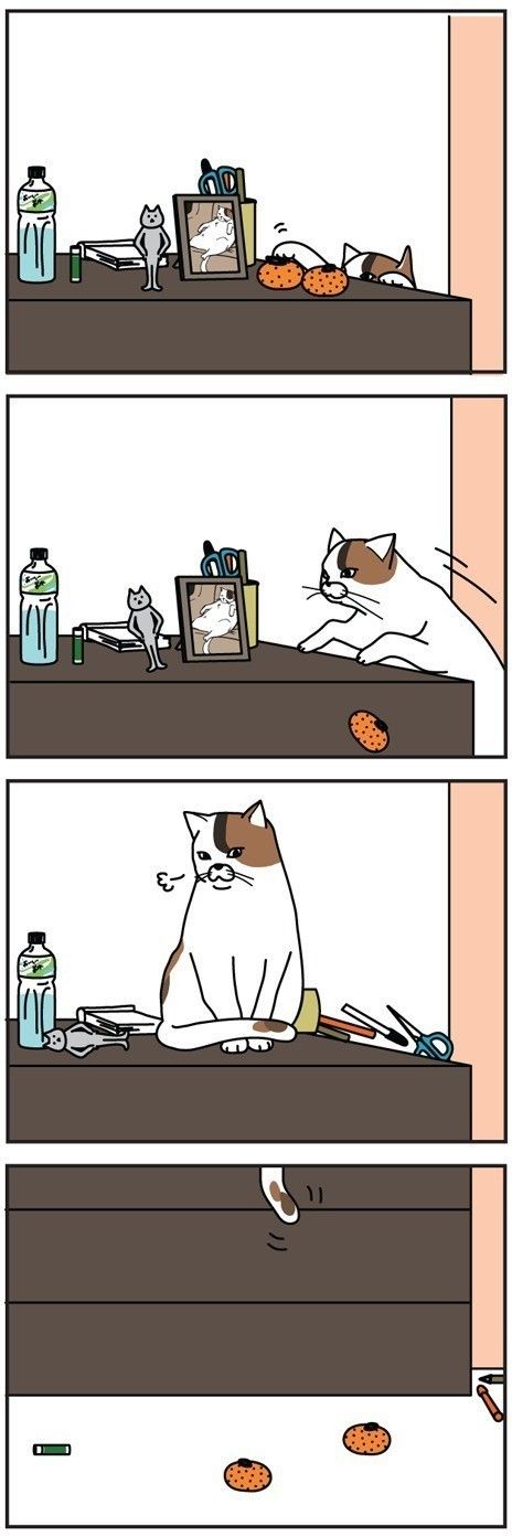 「男の猫道」vol.42