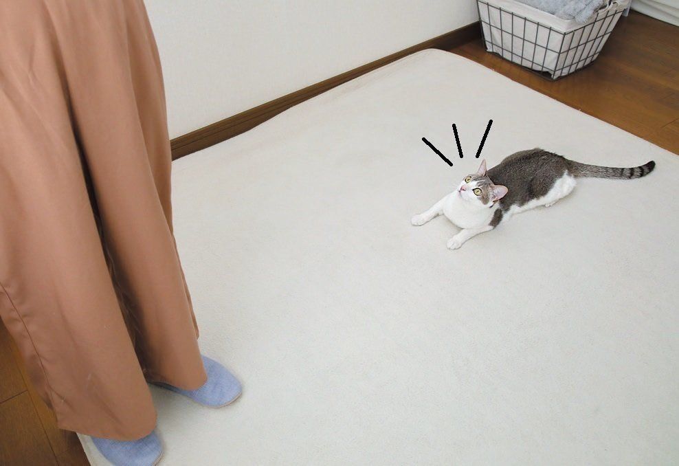 撮影／尾﨑たまき