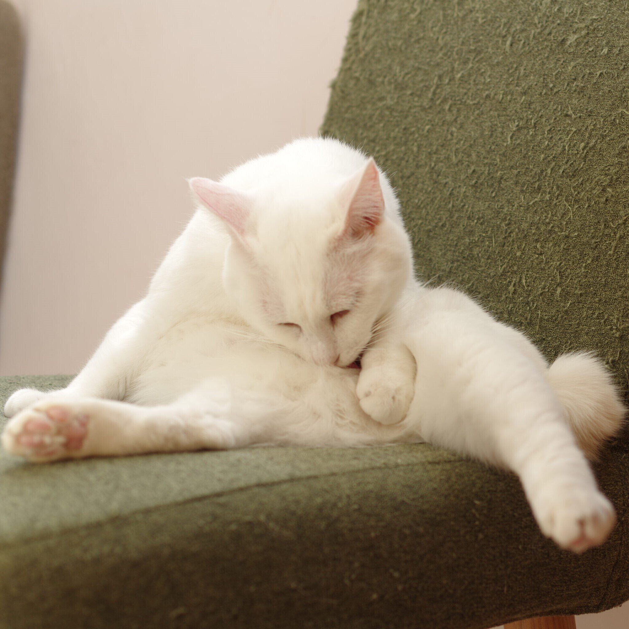 撮影／尾﨑たまき