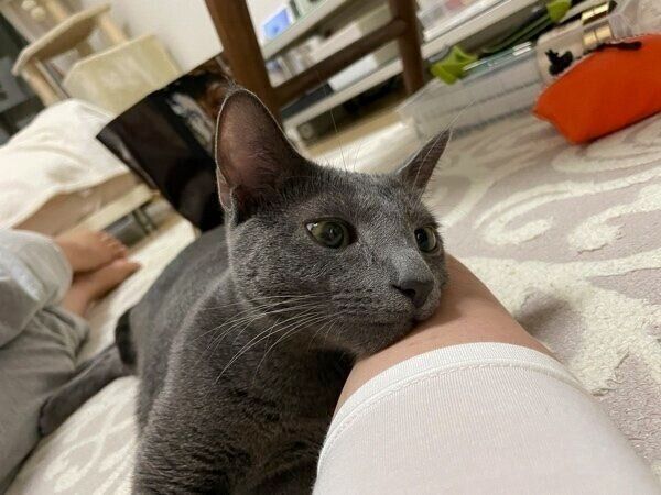 くつろぐこぱんくん