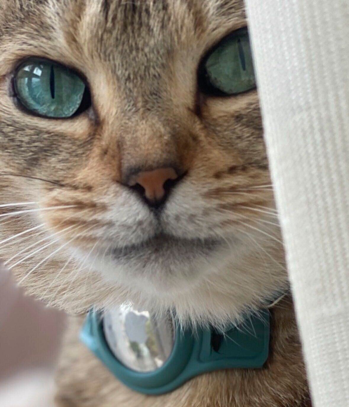 別の日に撮影されたもの　この日も瞳がキレイ