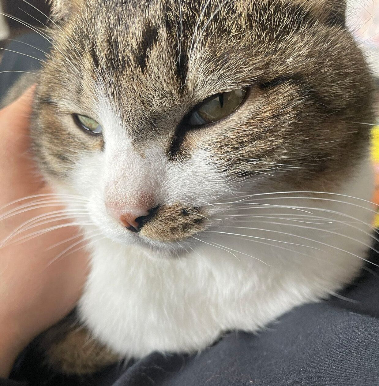 まったりするちいまくん