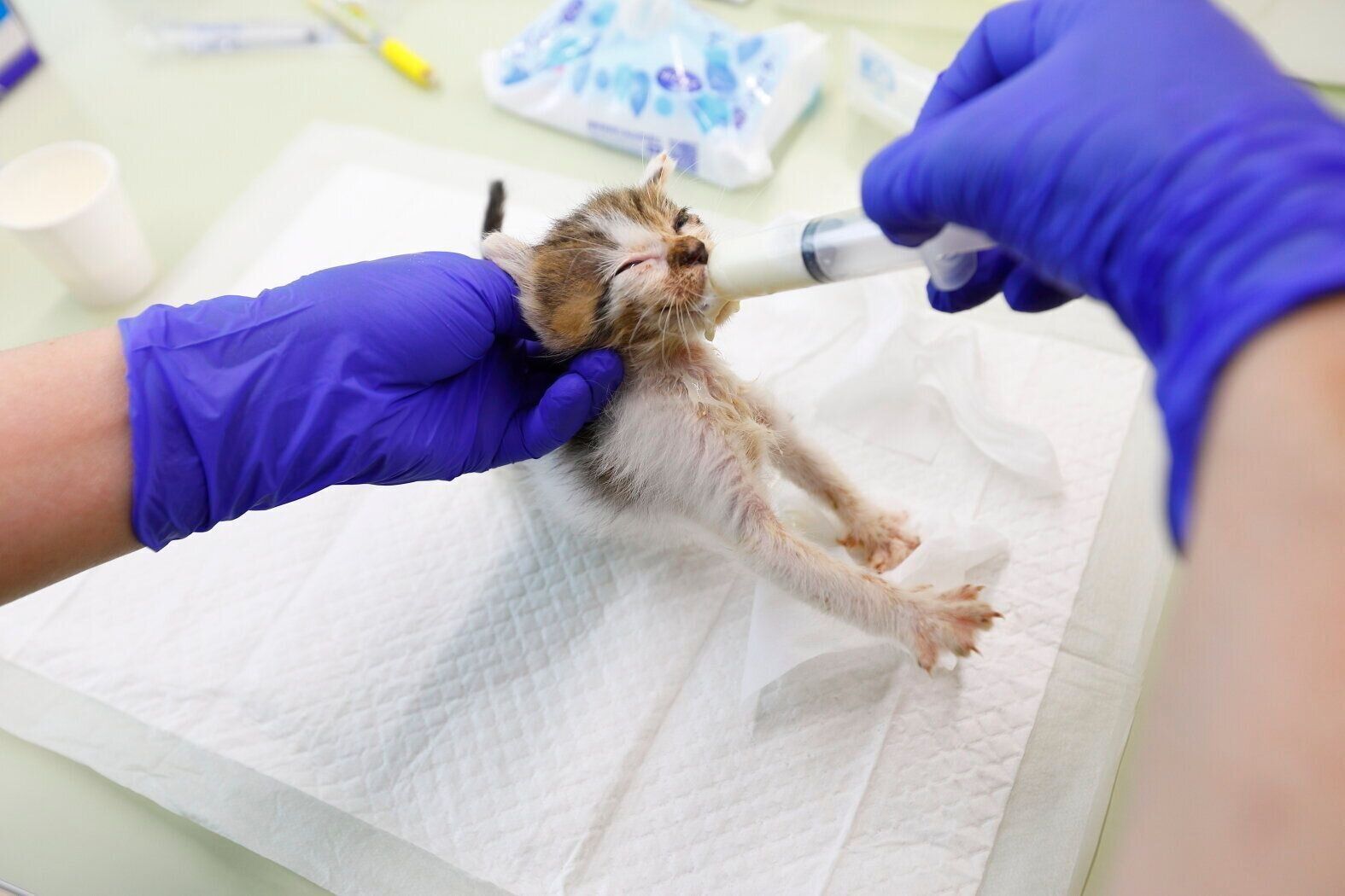 撮影／後藤さくら