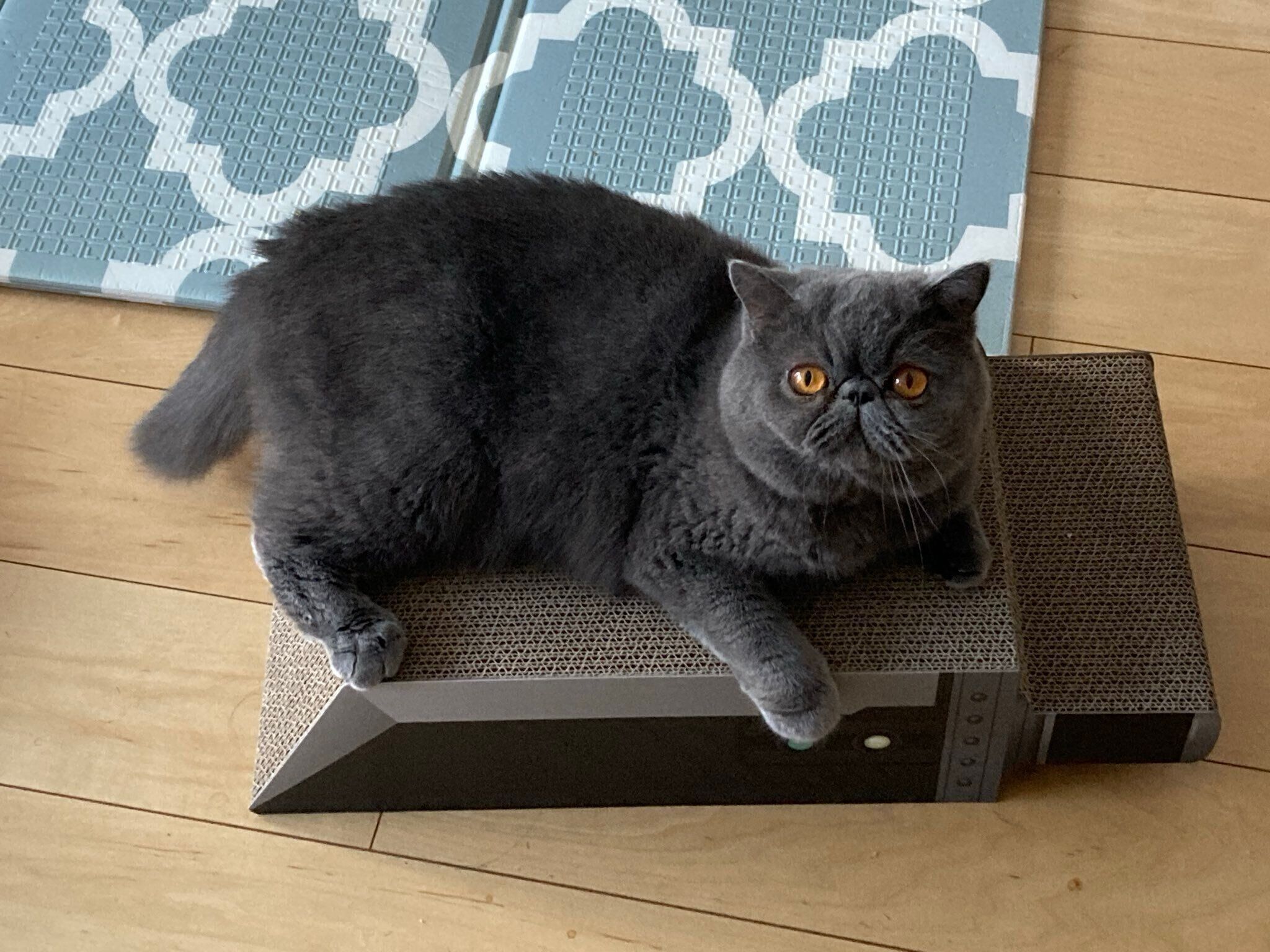 かわいさはそのままに大きくなった様子がよくわかる1枚