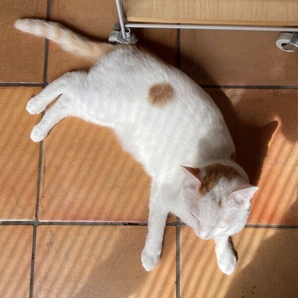 3年経って大きくなったのび太くん