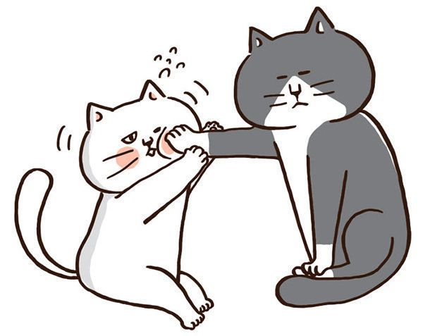 ケンカが弱いマンチカン