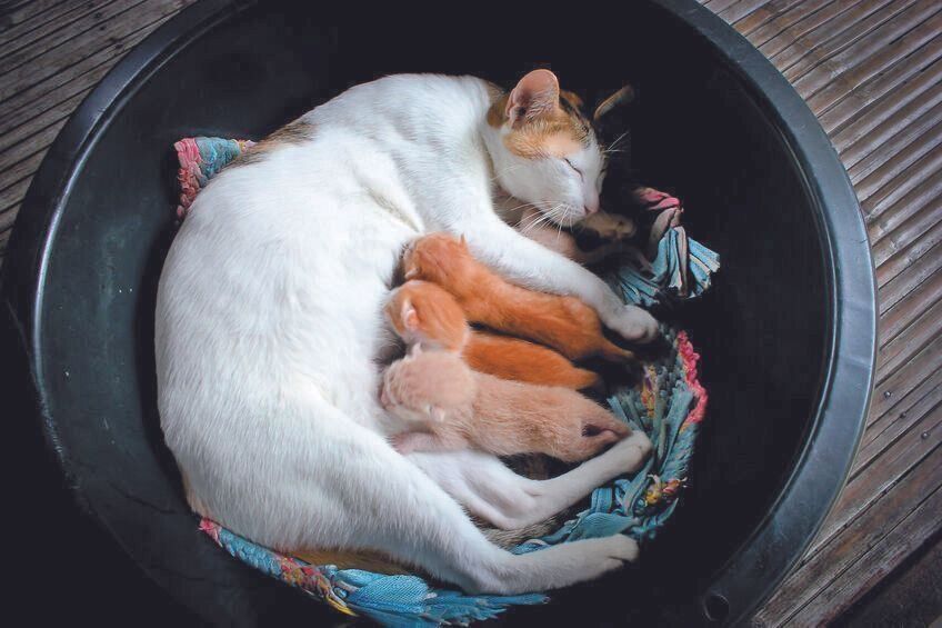 写真／ストックフォト