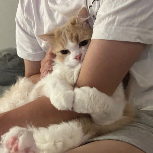 ここ一番のギュッを見せるグラくん