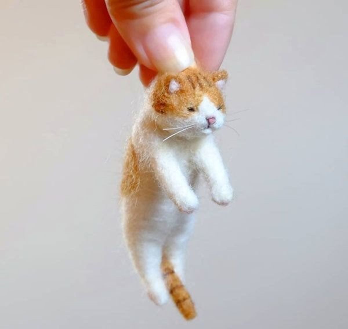 猫が怒る理由4つ あなたもやっていませんか Mofmo