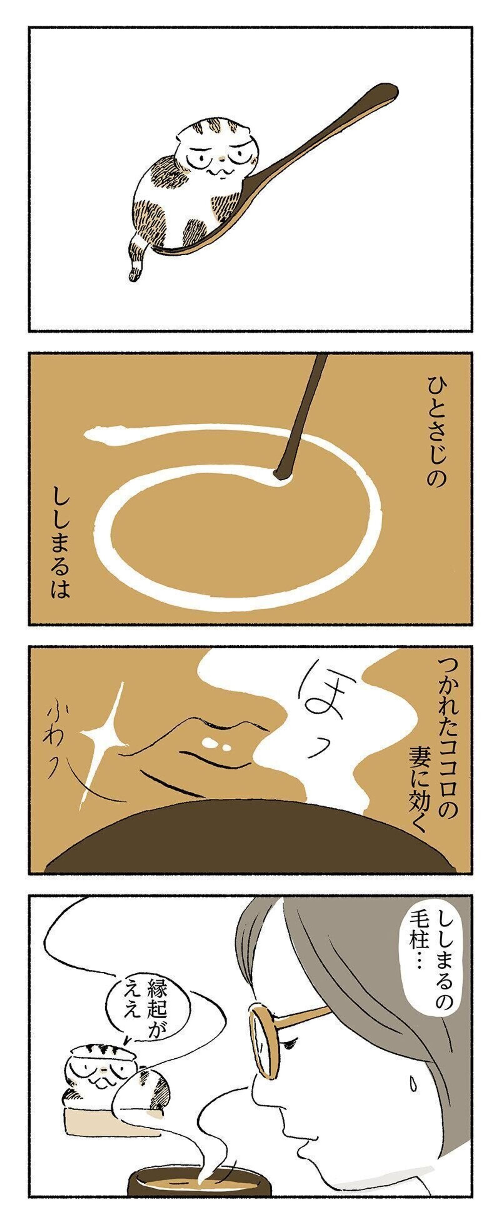 子猫が騒ごうが息子が来ようが何事にも我関せず 居眠り姿に貫禄がでる先輩猫のお話 連載 渋ネコししまるさん 141 ねこのきもちweb Magazine 子猫が騒ごうが息子が来ようが何事にも我関せず 居眠り姿に貫禄がでる先輩猫のお話 連載 渋ネコししまるさん 141 ねこのきもちweb Magazine