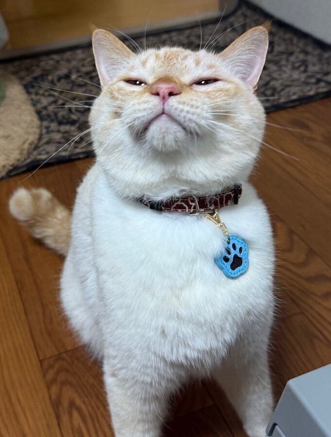 SNSで話題になった1枚　寝起き感満載の表情がかわいすぎる