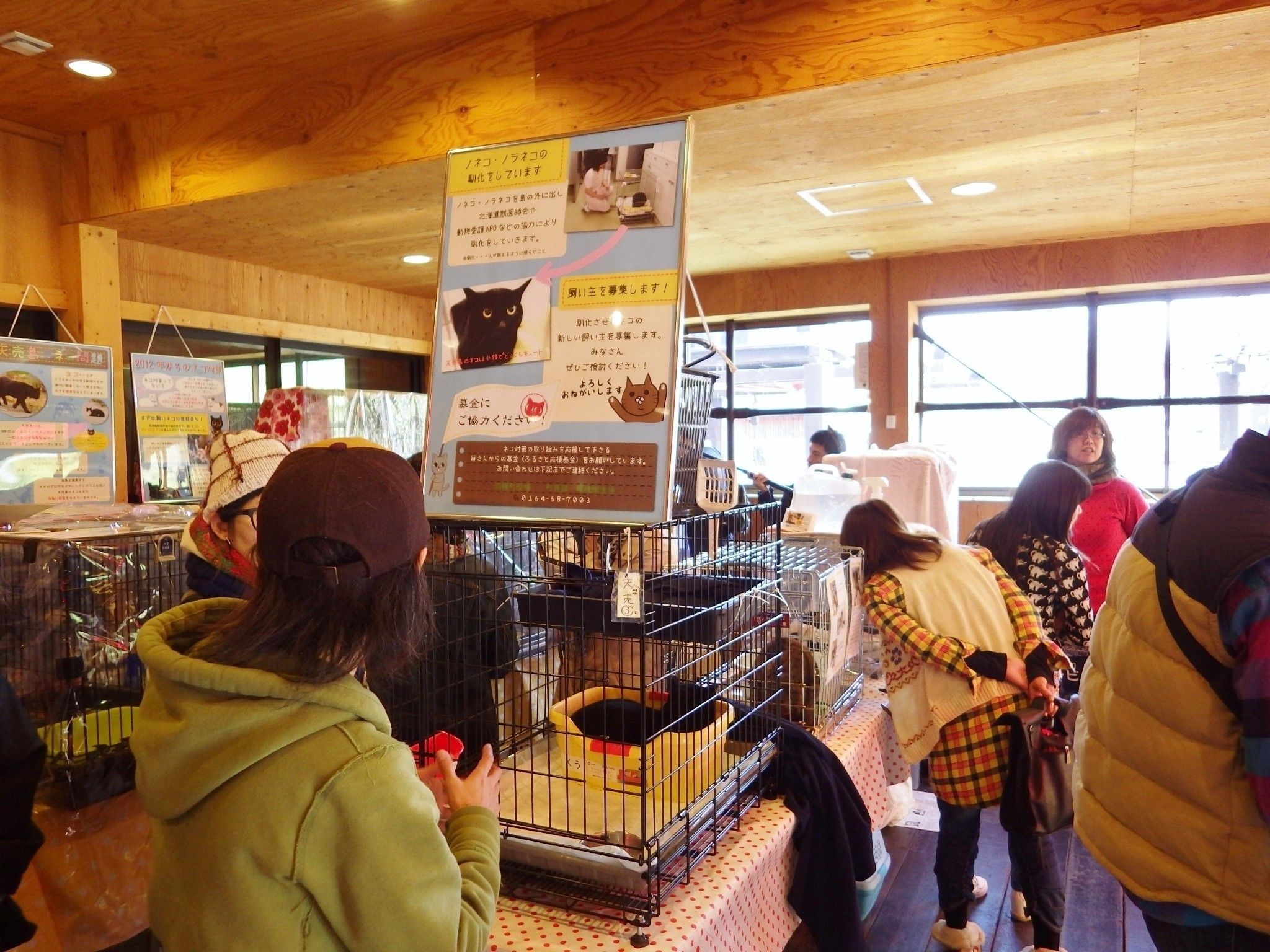 画像／北海道海鳥センター