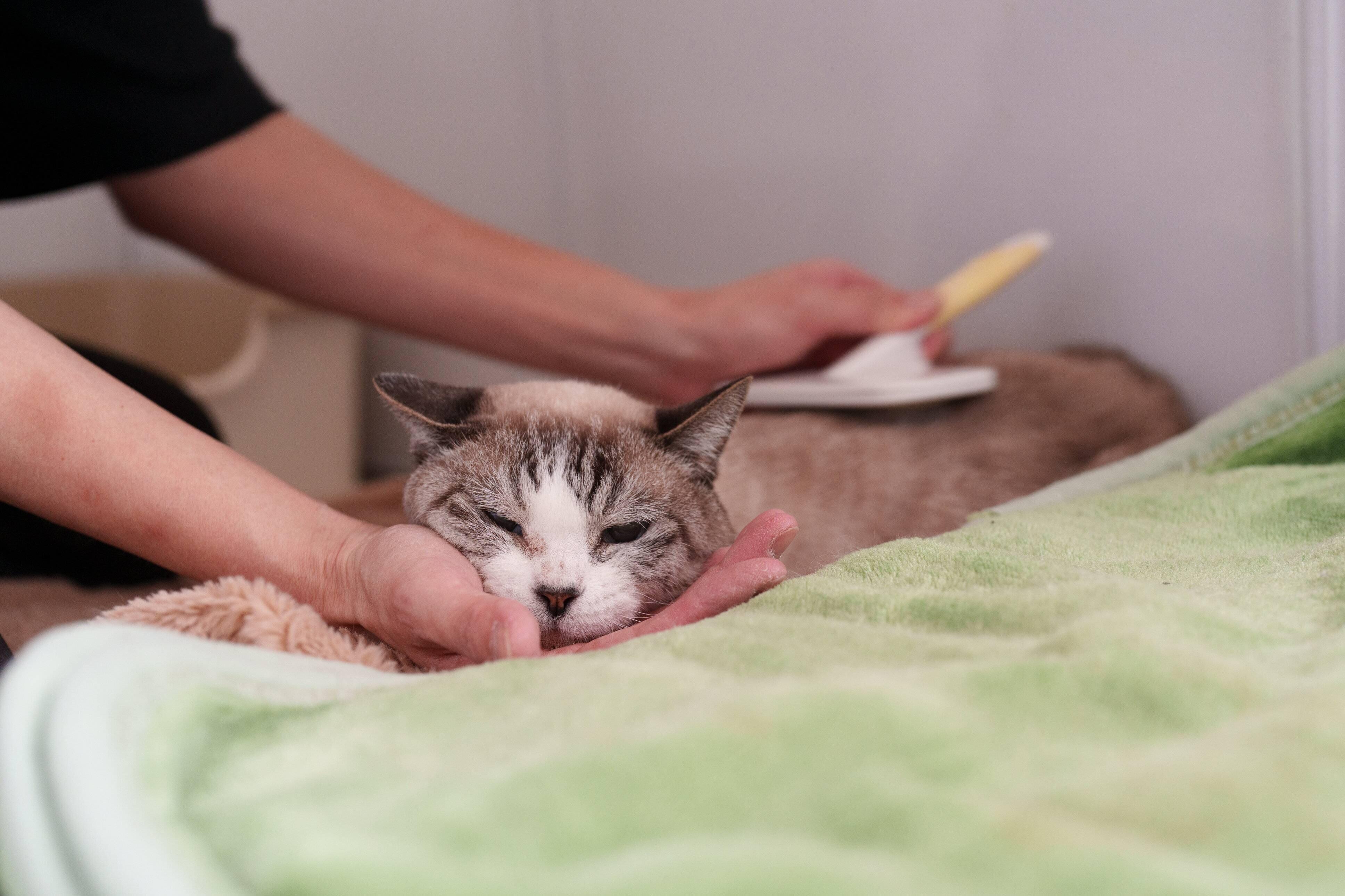 写真提供／ファミーユ