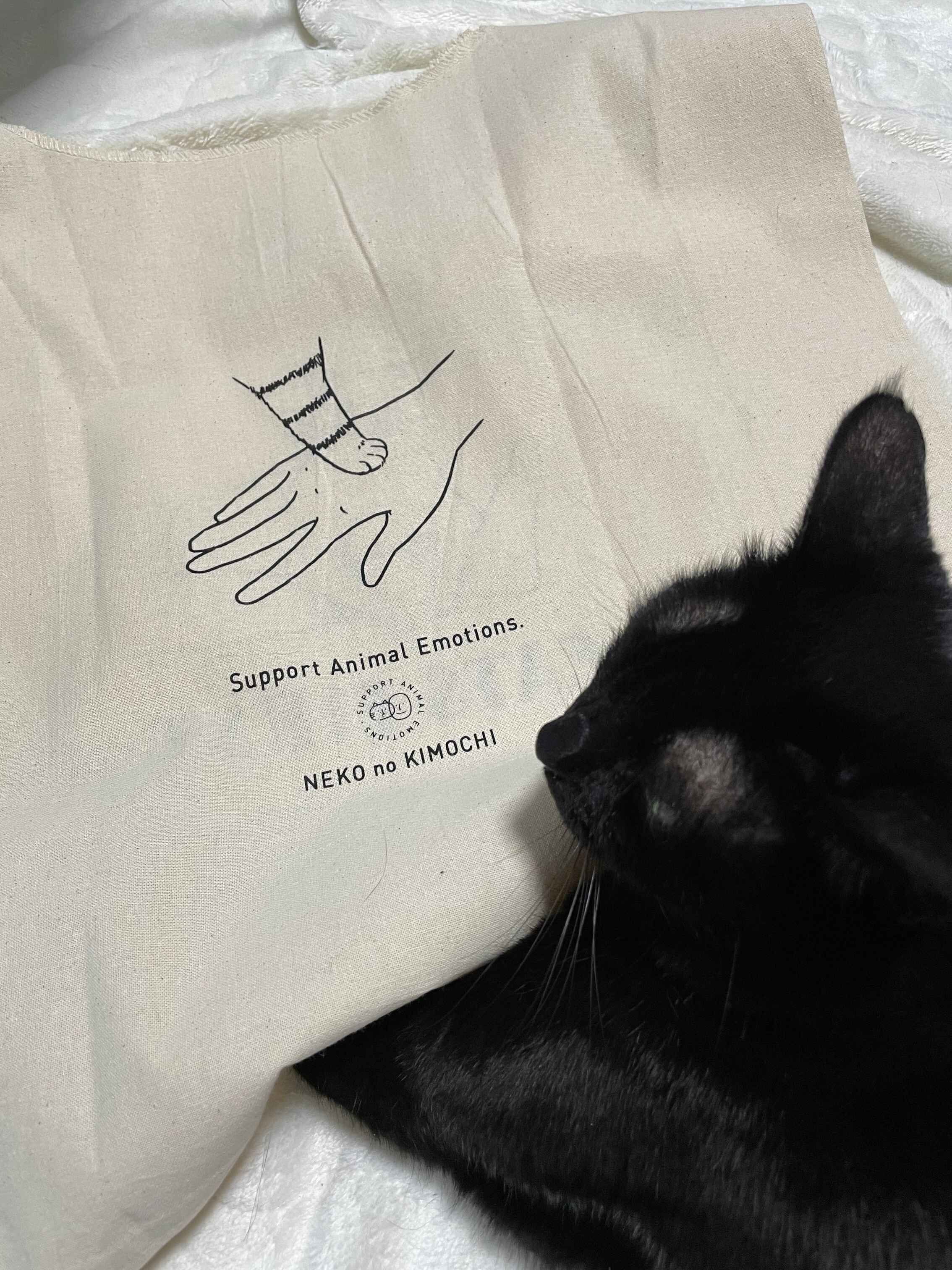 エコバック裏面