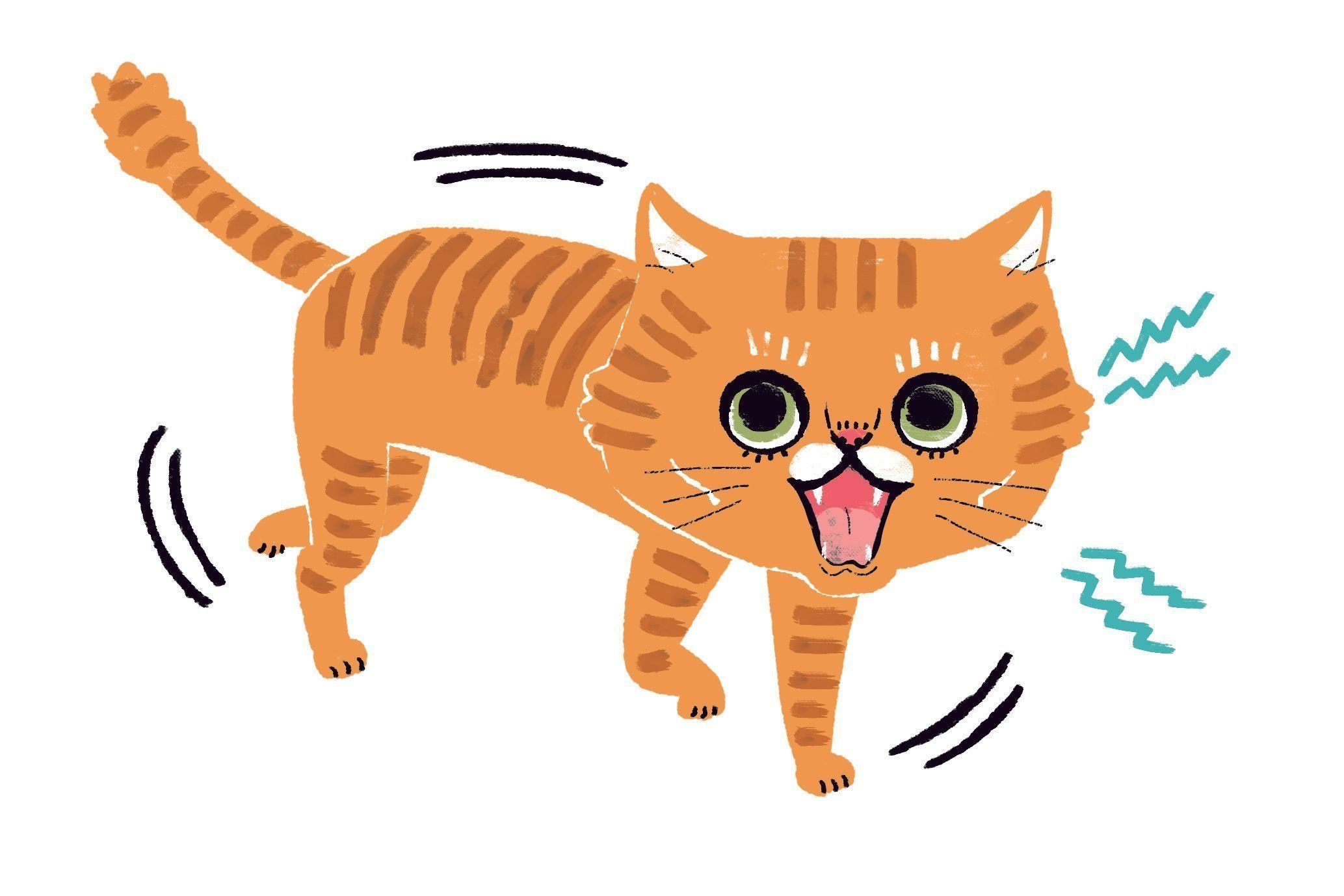 イラスト／Studio CUBE.