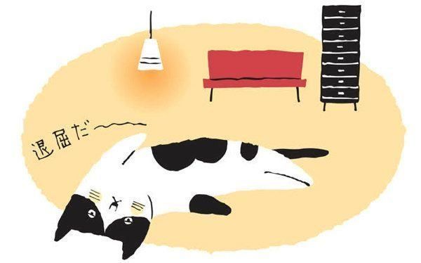 飼い主さんが気になる"おひとり猫"に関するアレコレ