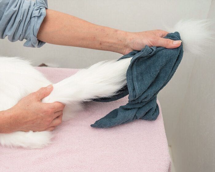 しっぽの先までキレイに