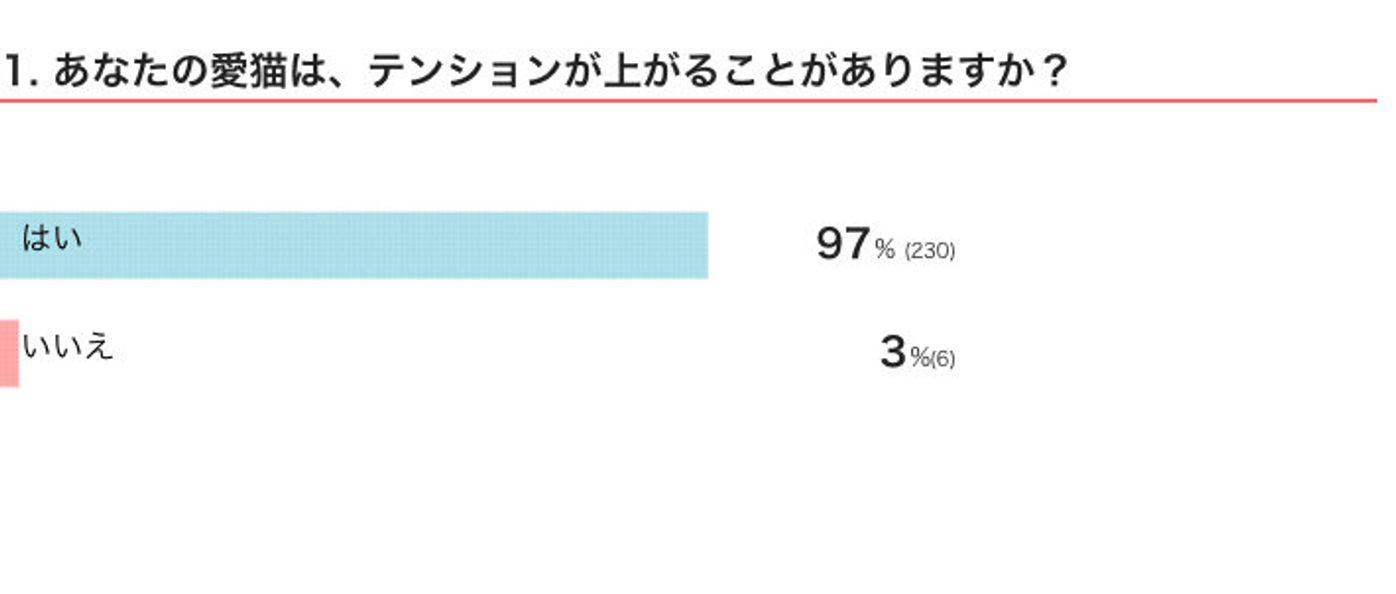 目の色が変わったり ウキウキすることも 猫の テンションが上がる瞬間 を調査してみた ねこのきもちweb Magazine 目の色が変わったり ウキウキすることも 猫の テンションが上がる瞬間 を調査してみた ねこのきもちweb Magazine