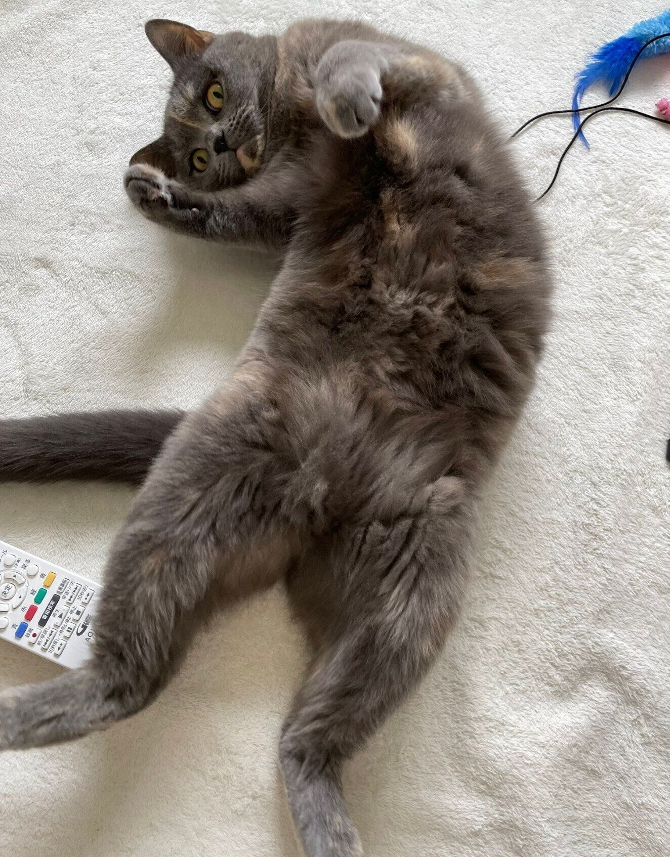 マイペースなところが可愛いグクちゃん