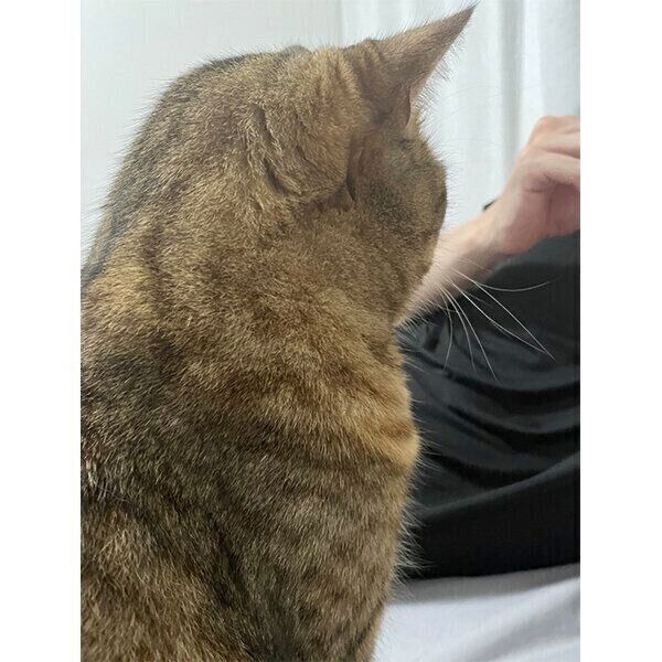 飼い主さんを見つめるみにらくん