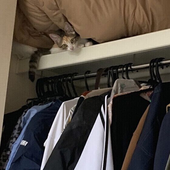 MIXのみりんちゃん