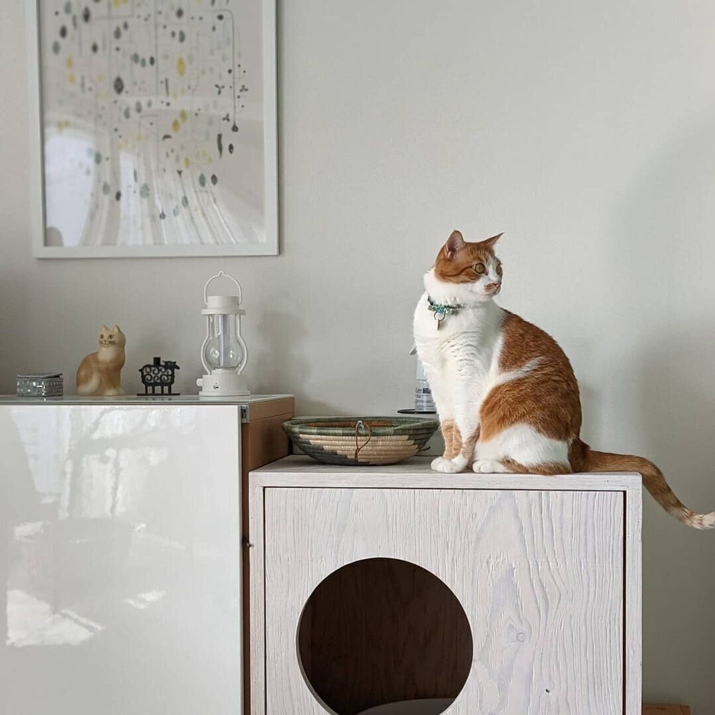 隠すだけじゃなくインテリアにも Instagramで話題の猫の トイレカバー Diyアイデア ねこのきもちweb Magazine 隠すだけじゃなくインテリアにも Instagramで話題の猫の トイレカバー Diyアイデア ねこのきもちweb Magazine