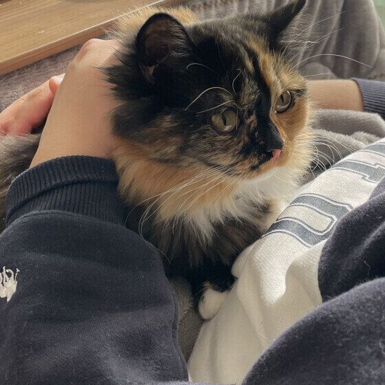 抱っこされるおこげちゃん