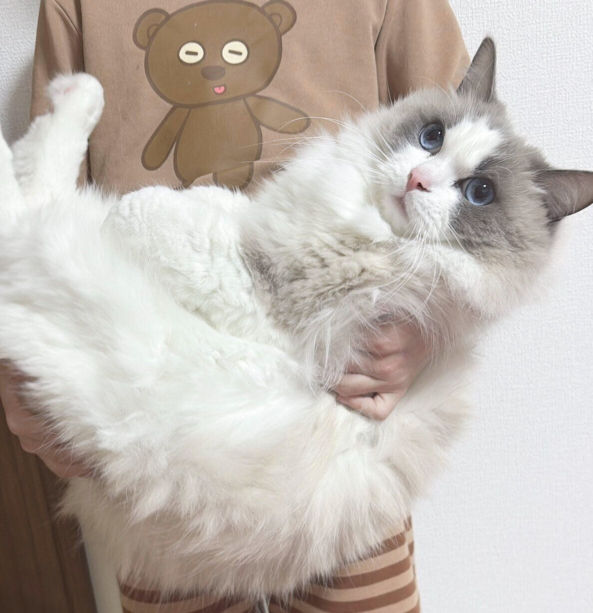 息子さんに抱っこしてもらうルカくん