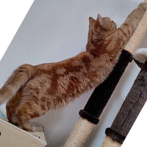 ぐい〜んと体を伸ばす龍太くん